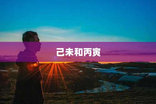 己未和丙寅