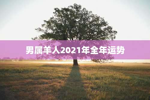 男属羊人2021年全年运势