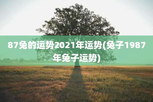 87兔的运势2021年运势(兔子1987年兔子运势)