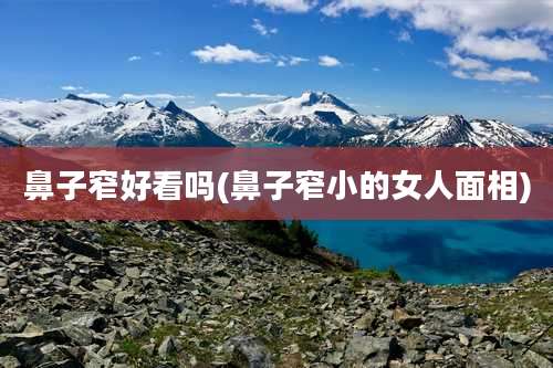 鼻子窄好看吗(鼻子窄小的女人面相)