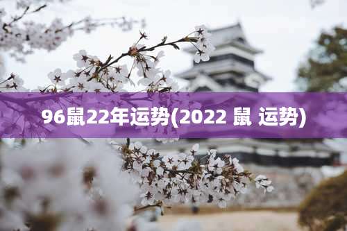 96鼠22年运势(2022 鼠 运势)