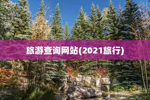 旅游查询网站(2021旅行)
