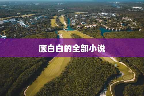 顾白白的全部小说