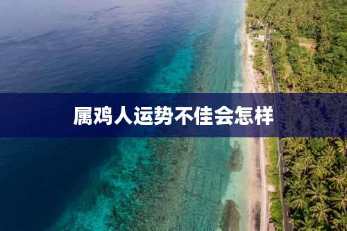 属鸡人运势不佳会怎样