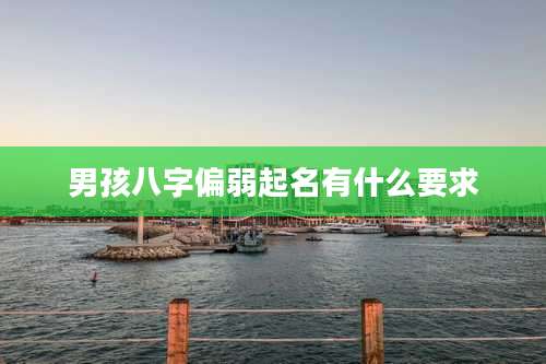 男孩八字偏弱起名有什么要求