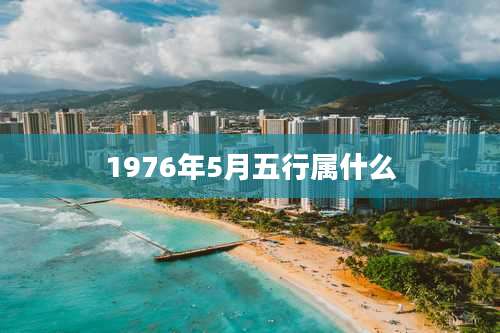 1976年5月五行属什么
