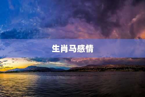 生肖马感情