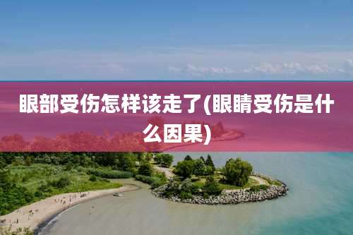 眼部受伤怎样该走了(眼睛受伤是什么因果)