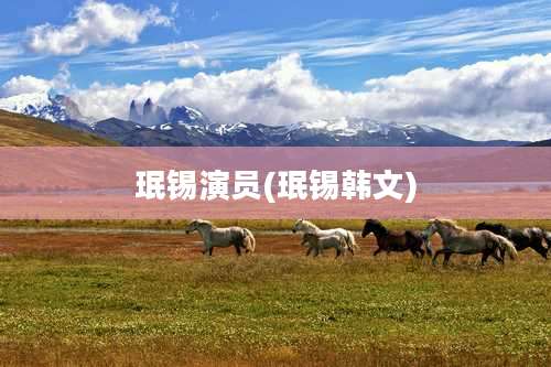 珉锡演员(珉锡韩文)