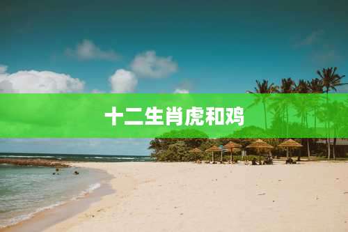 十二生肖虎和鸡