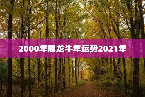 2000年属龙牛年运势2021年