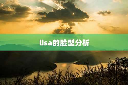 lisa的脸型分析