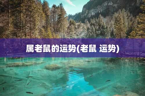 属老鼠的运势(老鼠 运势)