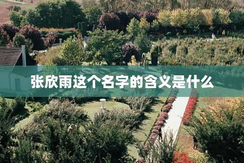 张欣雨这个名字的含义是什么