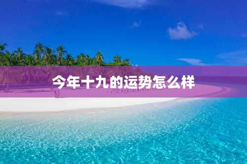 今年十九的运势怎么样