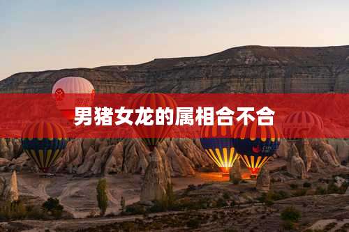 男猪女龙的属相合不合