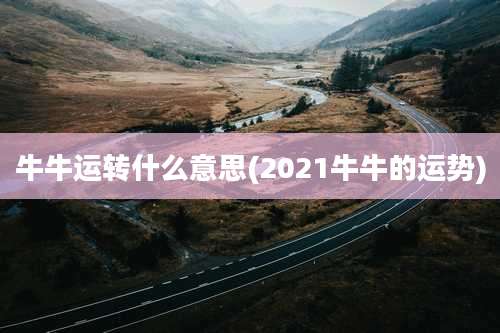 牛牛运转什么意思(2021牛牛的运势)