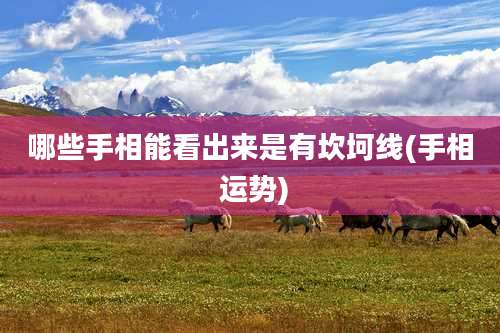 哪些手相能看出来是有坎坷线(手相 运势)