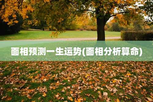 面相预测一生运势(面相分析算命)