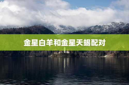金星白羊和金星天蝎配对