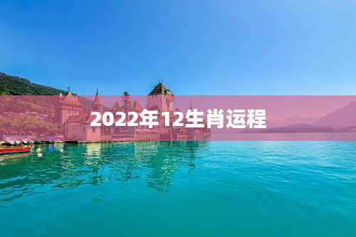 2022年12生肖运程