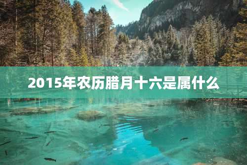 2015年农历腊月十六是属什么