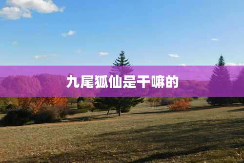 九尾狐仙是干嘛的