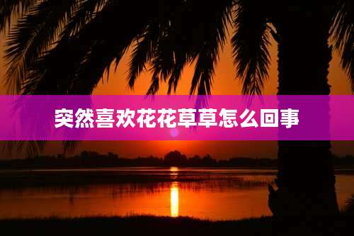 突然喜欢花花草草怎么回事