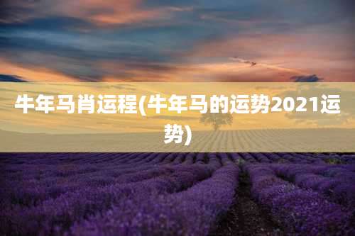 牛年马肖运程(牛年马的运势2021运势)