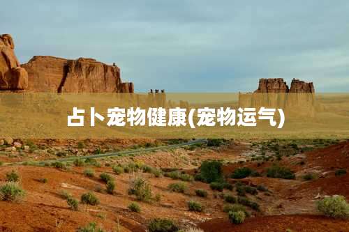 占卜宠物健康(宠物运气)