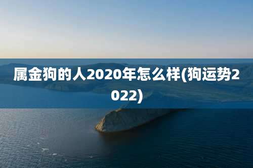 属金狗的人2020年怎么样(狗运势2022)