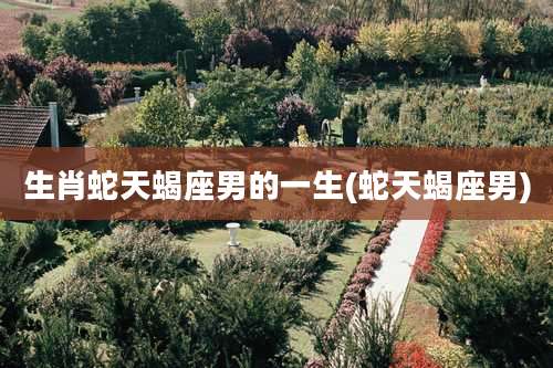 生肖蛇天蝎座男的一生(蛇天蝎座男)