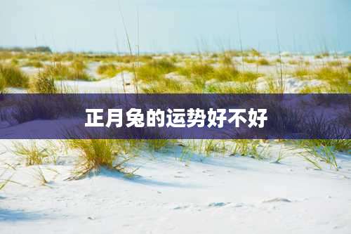 正月兔的运势好不好