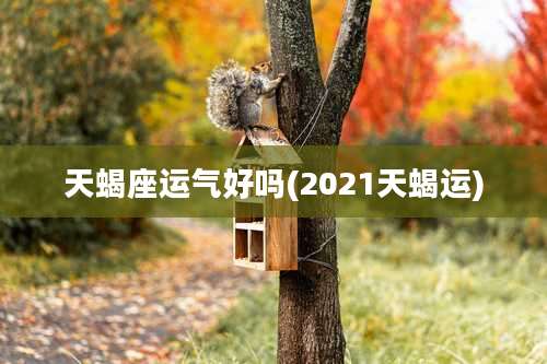天蝎座运气好吗(2021天蝎运)