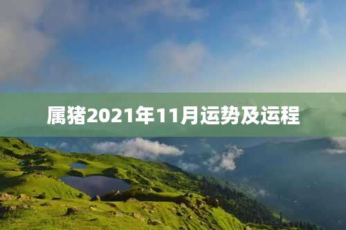 属猪2021年11月运势及运程