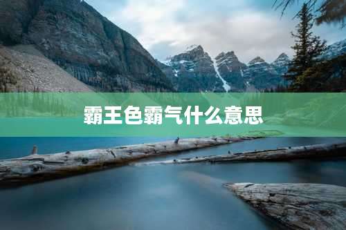 霸王色霸气什么意思