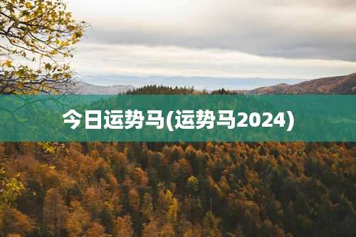 今日运势马(运势马2024)