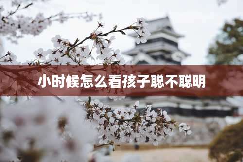 小时候怎么看孩子聪不聪明