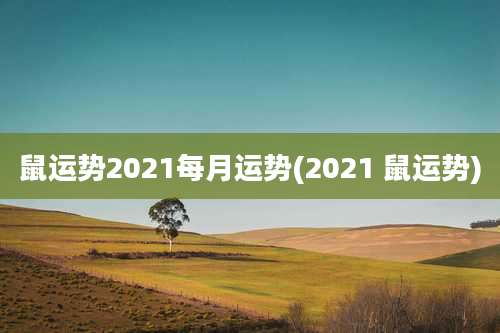 鼠运势2021每月运势(2021 鼠运势)