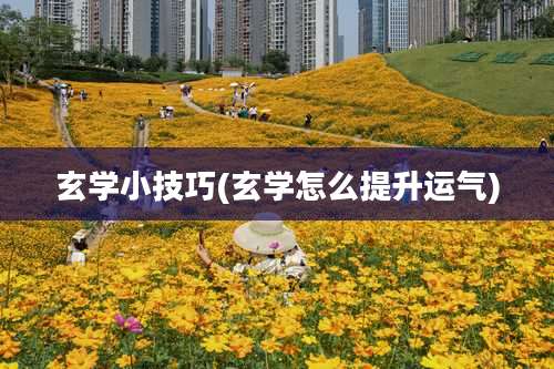 玄学小技巧(玄学怎么提升运气)