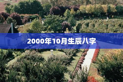 2000年10月生辰八字