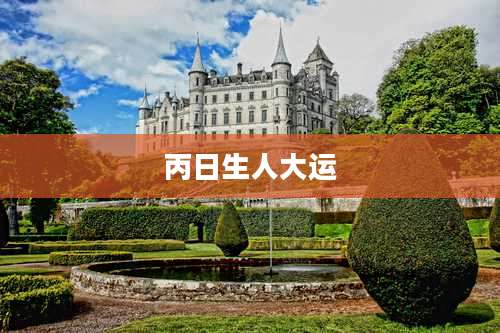 丙日生人大运