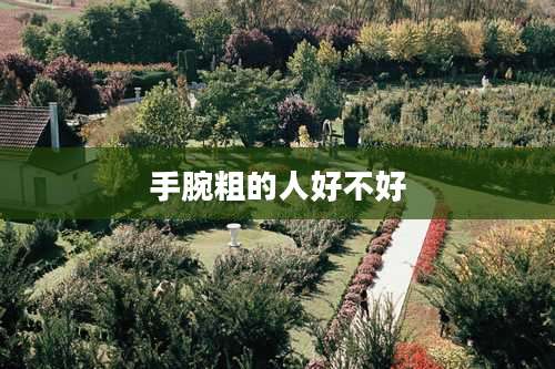手腕粗的人好不好