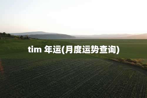 tim 年运(月度运势查询)