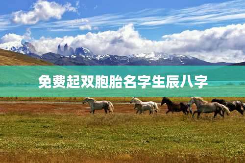 免费起双胞胎名字生辰八字