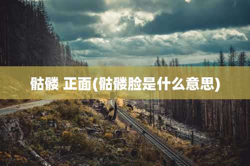 骷髅 正面(骷髅脸是什么意思)