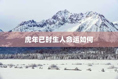 虎年已时生人命运如何
