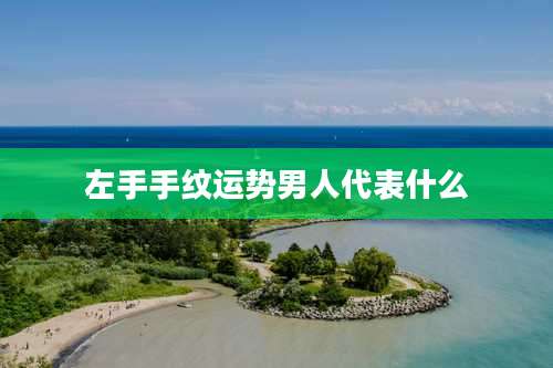 左手手纹运势男人代表什么