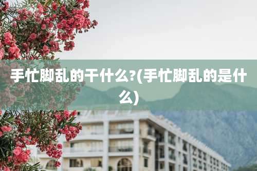 手忙脚乱的干什么?(手忙脚乱的是什么)