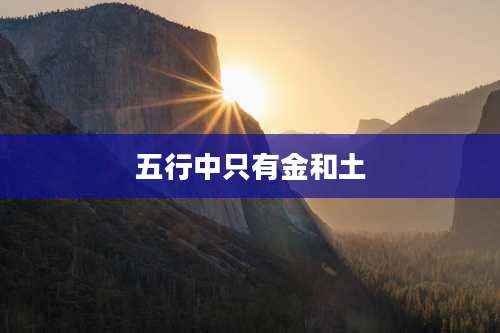 五行中只有金和土